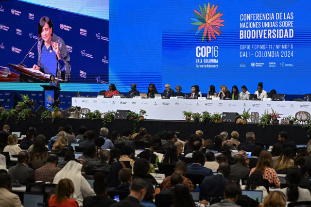 UN biodiversity summit opens in Colombia with calls for action, finance