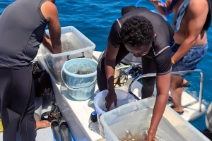 Nature Seychelles and WWF Madagascar train marine biologists in coral reef restoration