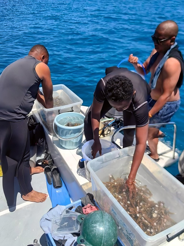 Nature Seychelles and WWF Madagascar train marine biologists in coral reef restoration