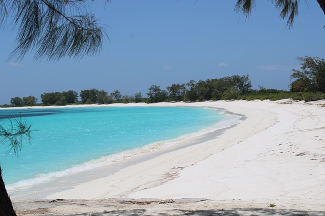 La Fondation des Îles Seychelles demande une révision du projet hôtelier sur l’île Assomption