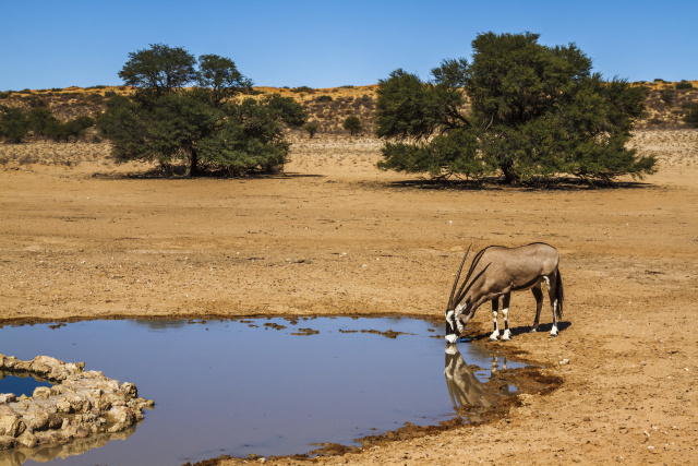 Drought hits food access for 26 million in southern Africa: UN